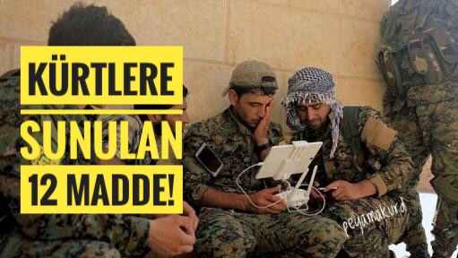 Esad Kürtlere maddelerini sundu: Özerklik mi, Federasyon mu gelecek?