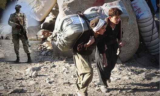 Rejima Îranê hespên kolberan dane ber guleyan