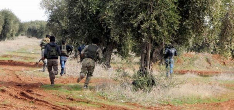 Li bajarê Rojava, li Efrînê ser derket!