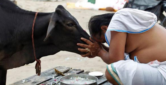 Hindistan'da inek kestigi iddia edilen bir Müslüman linç edildi
