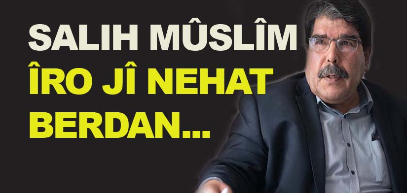 Bekir Bozdag, Me welatê Çek agahdar kir...