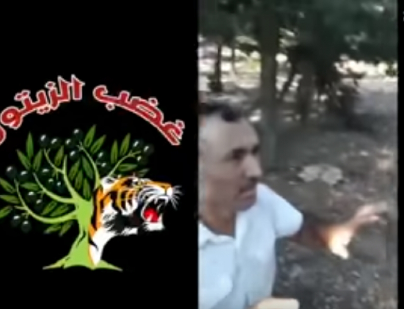 YPGê endamekî encûmena sivîl li Efrînê kust!