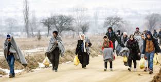 Ji Efrînê 150 hezar kes koçber bûne