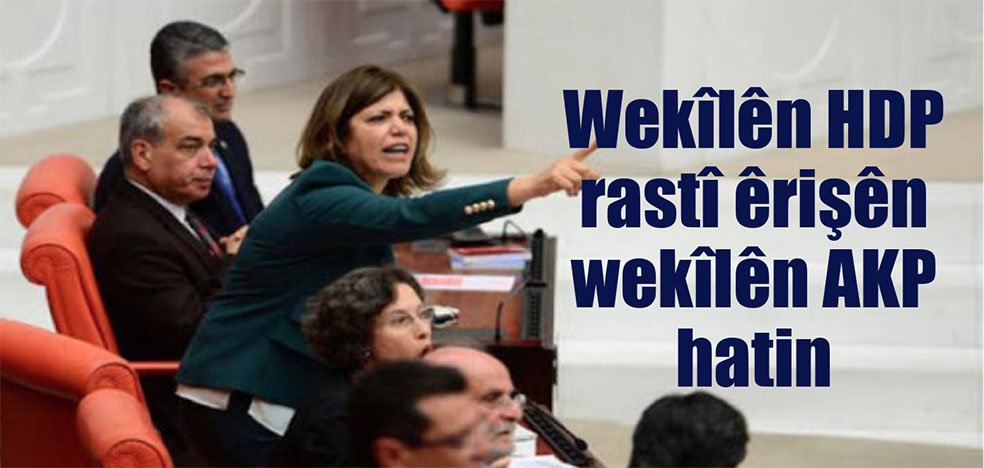 HDP, Artêsa Tirkiyê li Efrînê neteweyek tasfiye dike..