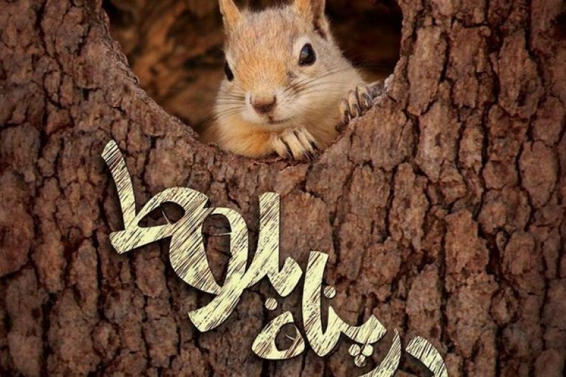 Belgefîlma kurdî li Japonya hat xelatkirin