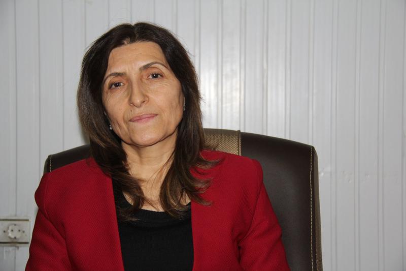 SerokÃª HDP a WanÃª axifÃ®: DivÃª HDP xwe rexne bike