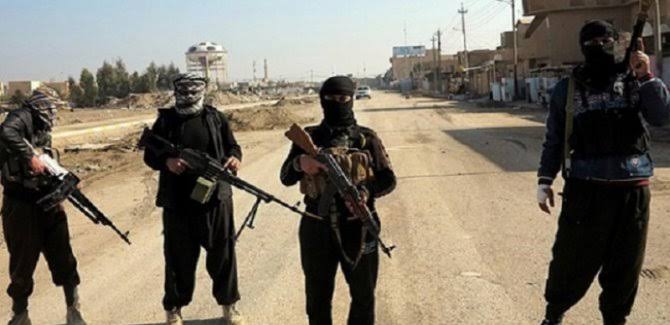 "DAISê bi alîkariya Hesda Sebî erdê Kurdan dagîr dikin"