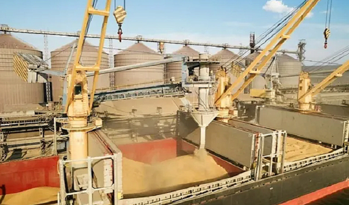 Welatekî din jî hawirdeya genimê ji Ukraynayê qedexe kir!