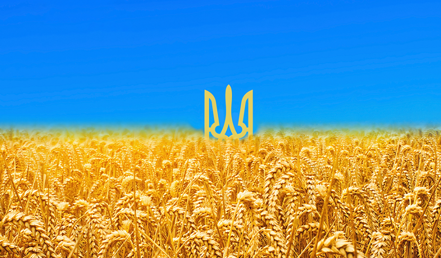 Yekîtiya Ewropayê, bertek nîsanî biryara wan welatan da