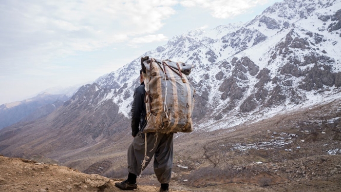 Di nava salekê de 100 kolberên Rojhilatê Kurdistanê hatin kustin