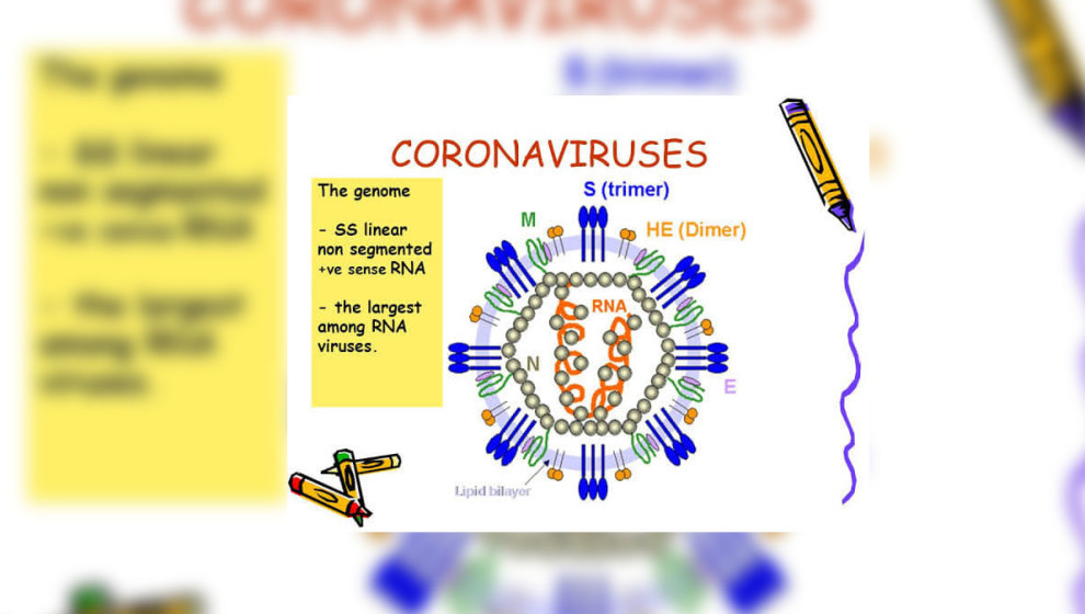Ji Wezareta Tendirustiya Herêma Kurdistanê daxuyaniya coronavîrusê