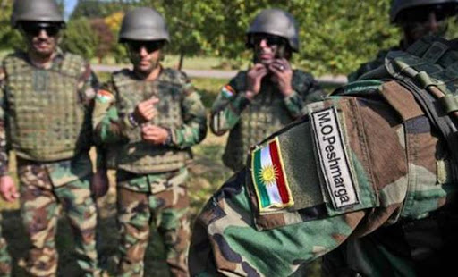 Almanya perwerdeya hêzên Iraqê radigre, lê ya Pêsmerge berdewam dike