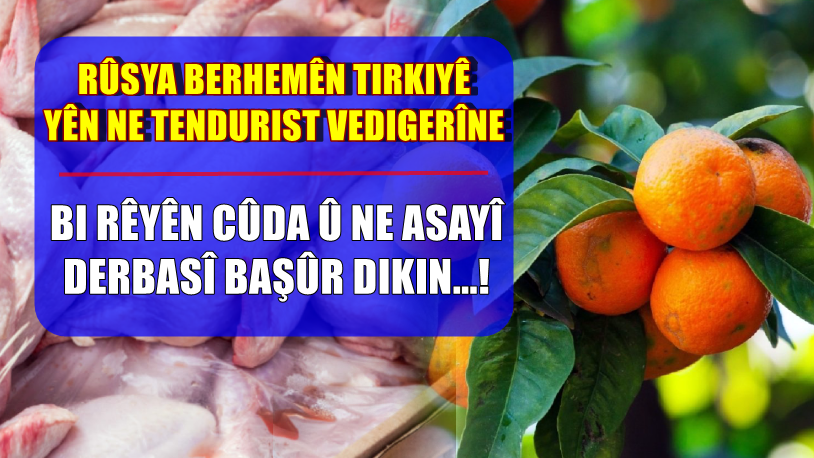 Rûsya berhemên ne tendurist ên Tirkiyê vedigerîne, metirsî li ser Basûr jî heye!