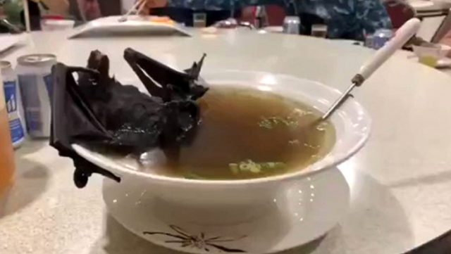 Rêxistina Tenduristiyê li ser jêderka koronayê gotina xwe ya dawî got!