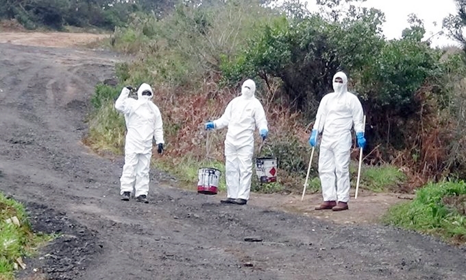 Li Stenbolê 2 goristan ji mirinên Covid-19 re hatin amade kirin