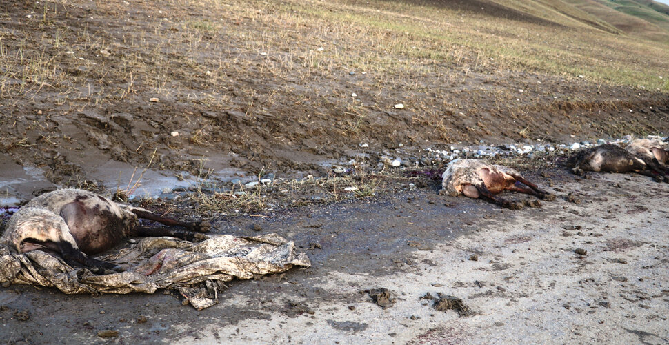 Baranê lehî rakir û 100 mîh mirin