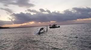 2 cesedên din jî hatin dîtin