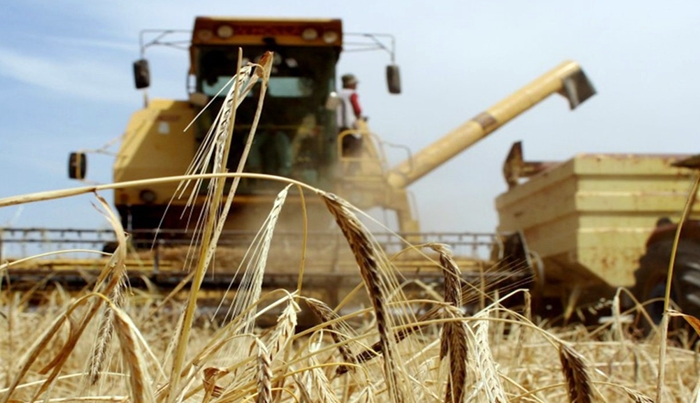 Rojava | Bihayê genimê cotkaran li gor Dolarê Amerîkî hat zêdekirin