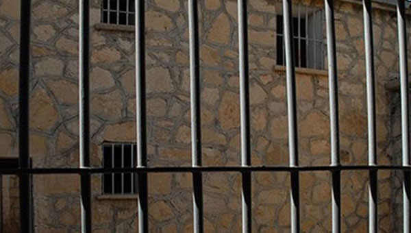 3 girtî ji koronayê mirin û 176 girtî jî pê ketin