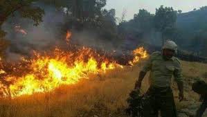 Li Rojhilat 3 kesan di dema vemirandina agirê daristanan de can dan