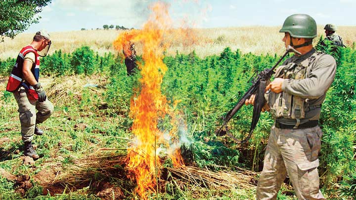 Li Licê bi tonan esrar hat desteserkirin