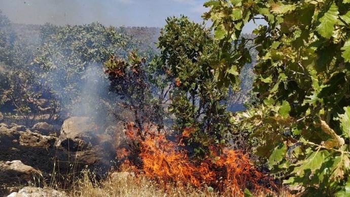 Bi sedan donim erdên Omeryan sewitî