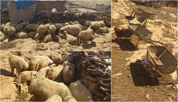 Elektrîk qut kirin, av tune, pez tî ye û erdên çandiniyê hisk dibin