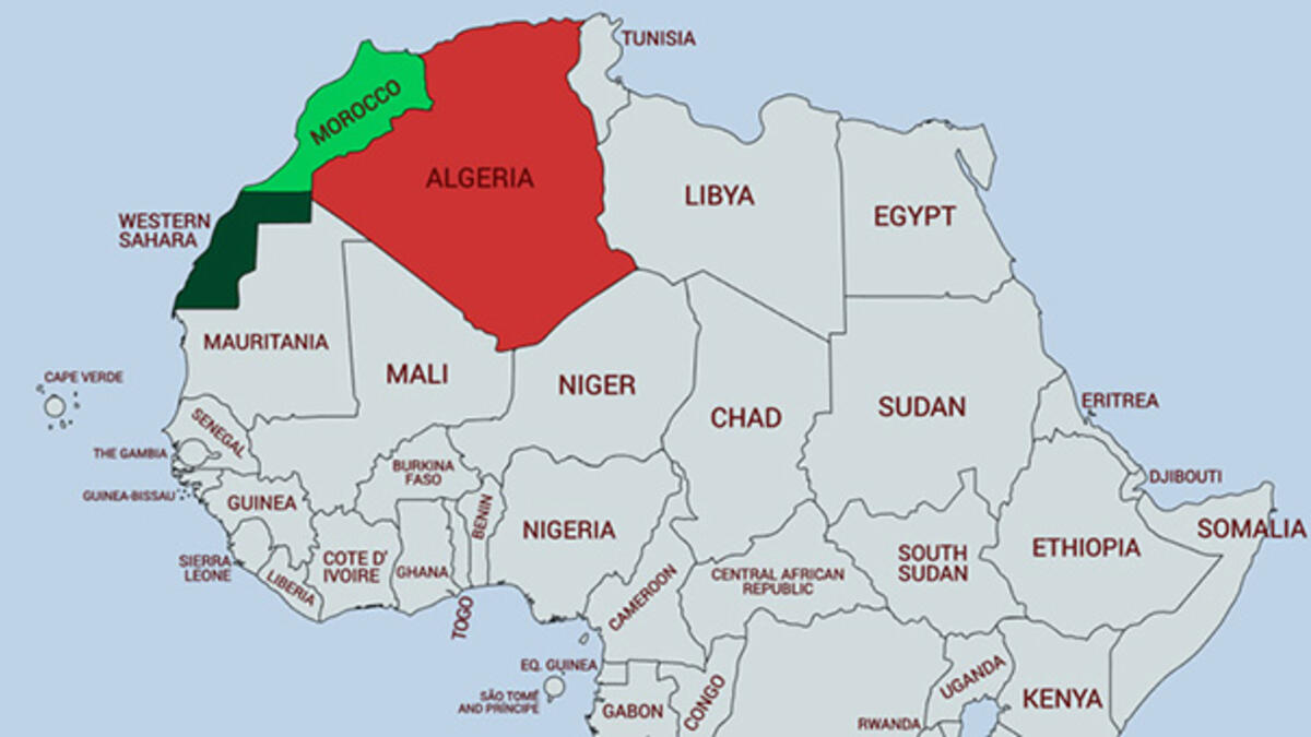40 welat otonomiya Sehra Rojava destek kirin