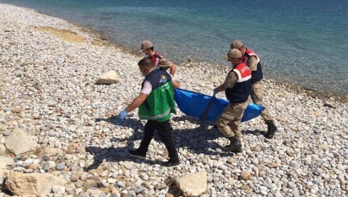 Hejmara cenazeyên ji Gola Wanê hatin derxistin gihîst 59an