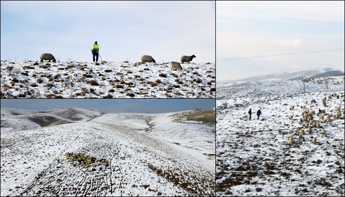 Berfa salê çiya û zozanên Geverê bi kirasê spî xemiland