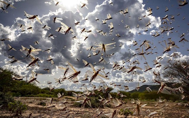 Kuliyan 15 navçeyên welat dan ber xwe