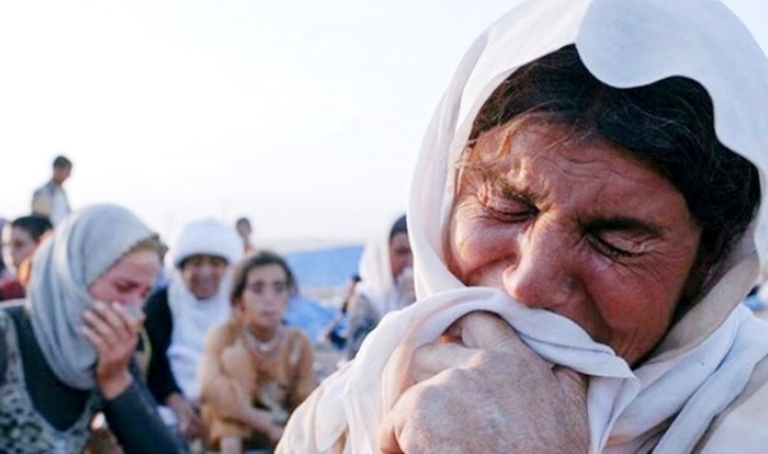 Termên 104 Kurdên Êzidî yên gundê Koço bo Singalê tên vegerandin