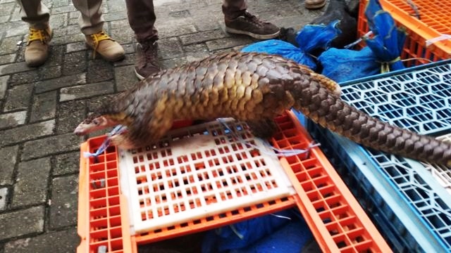 Tîma pisporên WHOyê li bazara ajalan a Wuhanê vekolîn kir