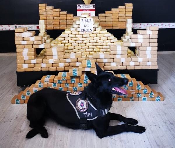 Polîsên narkotîkê 80 kîlo eroyînê girtin