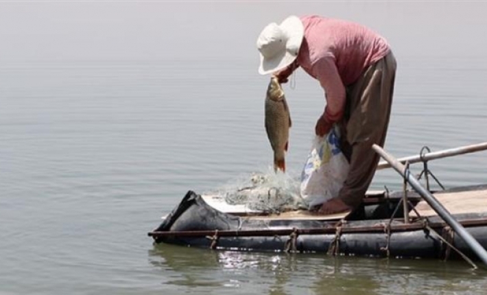 Qedexeya nêçîra masiyan îro destpê dike