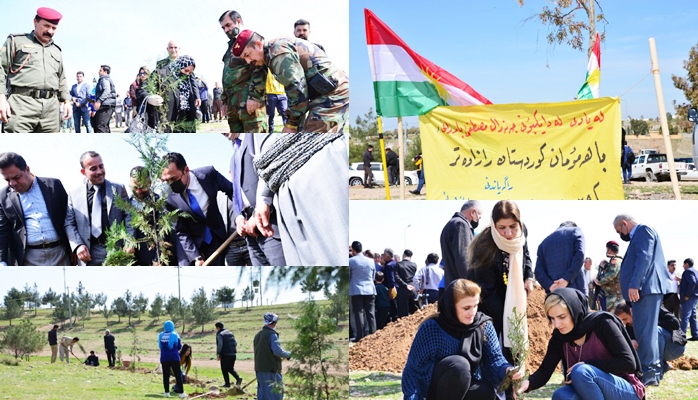Hewlêr | Rojbûna Barzaniyê Nemir bi çandina sitlên daran hat pêswazîkirin
