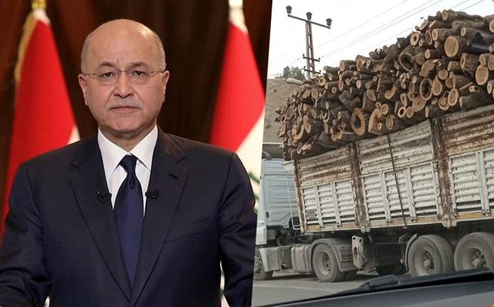 Berhem Salih: “Birîna daran li hemberê xweza û mirovan sûc e”