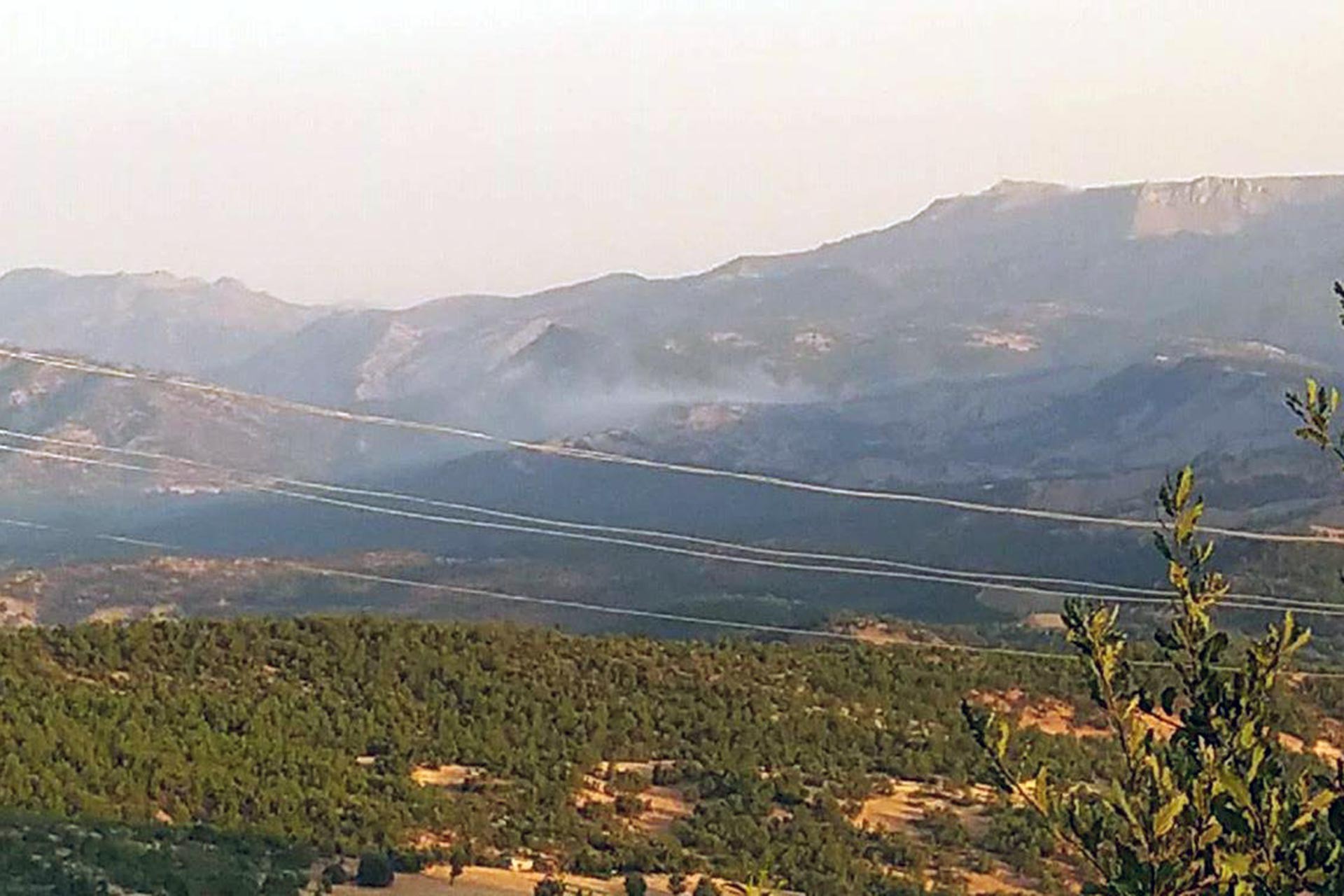 Li Çewlikê çûna daristanan heya 10 ê cotmehê hat qedexekirin