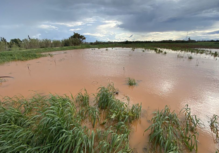 Li Nîjerê lehî bû sedema mirina 44 kesan