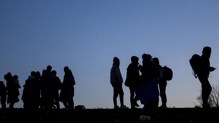 Li Çaldiranê 113 koçberên xwestin sînor derbas bikin hatin girtin.
