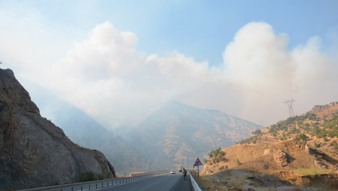 Sewata daristanên Bedlîsê 3 roj in dewam dike