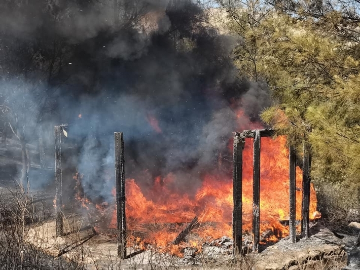 Agir bi geliyê Duhokê ket: Bi sedan donim dar û zevî sewitîn