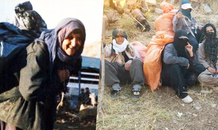 Parlamentarê Îranê: Dema em dibînin jinên Kurd kolberiyê dikin em serm dikin