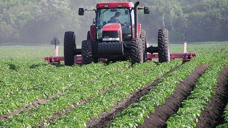 Bi projeyên Hikûmeta Herêma Kurdistanê re hilberîna çandiniyê ji sedî 8,5 zêde bû