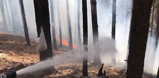 Li Sariqamîsê agir bi daristanê ket