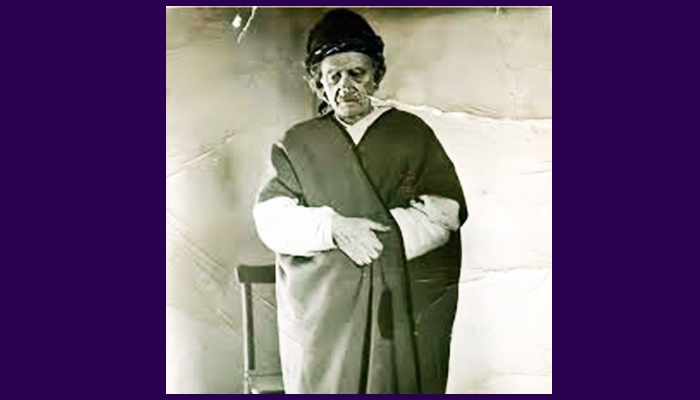 HDPê ji bo cihê Seîdê Kurdî wefat kiriye bibe muzexane pirsnameyek pêskes kir