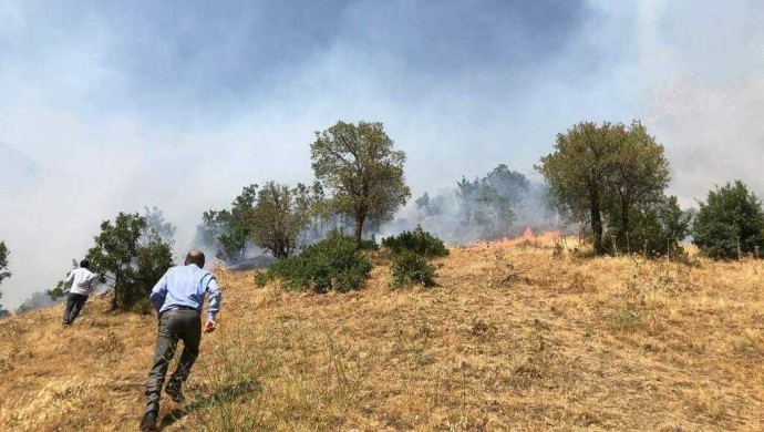 Sewata daristanê ya Semzînanê ji ber xwe vemirî