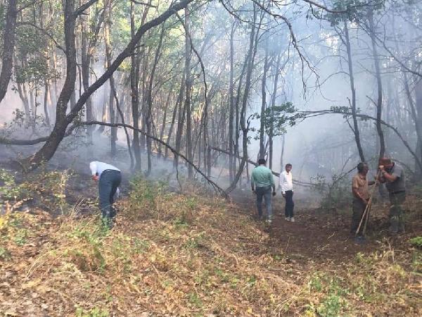 Parêzgeha Dêrsimê li ser sewata daristanan daxwuyanî da