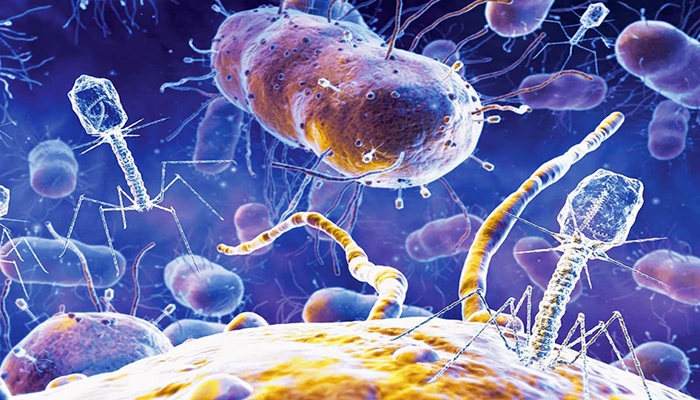 WHOyê peydebûna haleta vîrusa Marburgê pistrast kir: Rêjeya kustinê ji sedî 90 e!