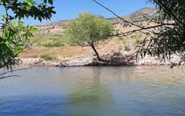 2 xwusk di Çemê Zorava ya li Dihê de fetisîn